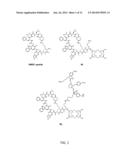 METHODS FOR IMAGING BONE PRECURSOR CELLS USING DUAL-LABELED IMAGING AGENTS     TO DETECT MMP-9 POSITIVE CELLS diagram and image