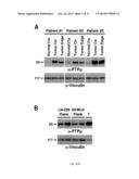 METHODS AND COMPOSITIONS FOR DETECTION OF CANCER diagram and image