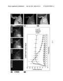 METHODS AND COMPOSITIONS FOR DETECTION OF CANCER diagram and image