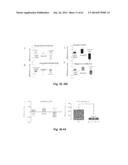 IDENTIFICATION AND USE OF ANXIOLYTIC COMPOUNDS diagram and image