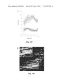 IDENTIFICATION AND USE OF ANXIOLYTIC COMPOUNDS diagram and image