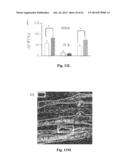 IDENTIFICATION AND USE OF ANXIOLYTIC COMPOUNDS diagram and image