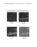 IDENTIFICATION AND USE OF ANXIOLYTIC COMPOUNDS diagram and image