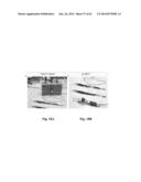 IDENTIFICATION AND USE OF ANXIOLYTIC COMPOUNDS diagram and image