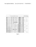 IDENTIFICATION AND USE OF ANXIOLYTIC COMPOUNDS diagram and image