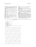 IL-12/p40 BINDING PROTEINS diagram and image