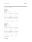 IL-12/p40 BINDING PROTEINS diagram and image