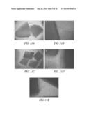 SUPPORTS AND METHODS FOR PROMOTING INTEGRATION OF CARTILAGE TISSUE     EXPLANTS diagram and image