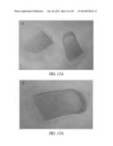 SUPPORTS AND METHODS FOR PROMOTING INTEGRATION OF CARTILAGE TISSUE     EXPLANTS diagram and image