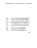 THYMIDINE KINASE diagram and image