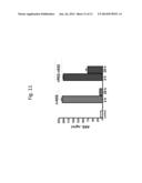 COMPOSITIONS AND METHODS RELATING TO ARGININOSUCCCINATE SYNTHETASE diagram and image