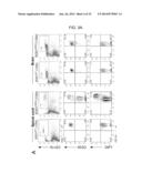 Methods of Treating Inflammatory Diseases by Targeting the Chemoattractant     Cytokine Receptor 2 (CCR2) or Chemokine (C-C motif) Ligand 2 (CCL2) diagram and image