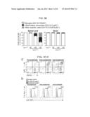 Methods of Treating Inflammatory Diseases by Targeting the Chemoattractant     Cytokine Receptor 2 (CCR2) or Chemokine (C-C motif) Ligand 2 (CCL2) diagram and image