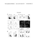 Methods of Treating Inflammatory Diseases by Targeting the Chemoattractant     Cytokine Receptor 2 (CCR2) or Chemokine (C-C motif) Ligand 2 (CCL2) diagram and image