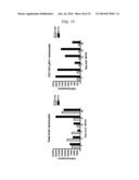 Methods of Treating Inflammatory Diseases by Targeting the Chemoattractant     Cytokine Receptor 2 (CCR2) or Chemokine (C-C motif) Ligand 2 (CCL2) diagram and image