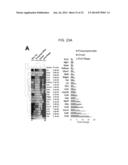 Methods of Treating Inflammatory Diseases by Targeting the Chemoattractant     Cytokine Receptor 2 (CCR2) or Chemokine (C-C motif) Ligand 2 (CCL2) diagram and image