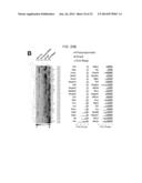 Methods of Treating Inflammatory Diseases by Targeting the Chemoattractant     Cytokine Receptor 2 (CCR2) or Chemokine (C-C motif) Ligand 2 (CCL2) diagram and image