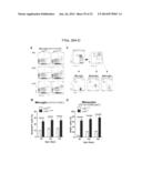 Methods of Treating Inflammatory Diseases by Targeting the Chemoattractant     Cytokine Receptor 2 (CCR2) or Chemokine (C-C motif) Ligand 2 (CCL2) diagram and image