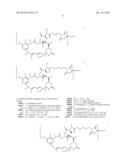 COMPOUNDS AND METHODS FOR THE TREATMENT OF ERB B2/NEU POSITIVE DISEASES diagram and image