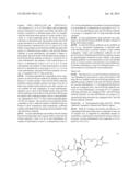 COMPOUNDS AND METHODS FOR THE TREATMENT OF ERB B2/NEU POSITIVE DISEASES diagram and image