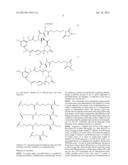 COMPOUNDS AND METHODS FOR THE TREATMENT OF ERB B2/NEU POSITIVE DISEASES diagram and image