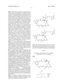 COMPOUNDS AND METHODS FOR THE TREATMENT OF ERB B2/NEU POSITIVE DISEASES diagram and image