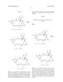 COMPOUNDS AND METHODS FOR THE TREATMENT OF ERB B2/NEU POSITIVE DISEASES diagram and image