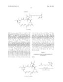 COMPOUNDS AND METHODS FOR THE TREATMENT OF ERB B2/NEU POSITIVE DISEASES diagram and image