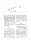 COMPOUNDS AND METHODS FOR THE TREATMENT OF ERB B2/NEU POSITIVE DISEASES diagram and image