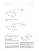 COMPOUNDS AND METHODS FOR THE TREATMENT OF ERB B2/NEU POSITIVE DISEASES diagram and image