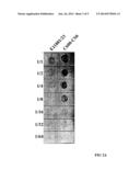 METHOD FOR INCREASING ETEC CS6 ANTIGEN PRESENTATION ON CELL SURFACE AND     PRODUCTS OBTAINABLE THEREOF diagram and image