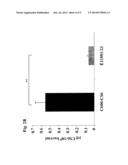 METHOD FOR INCREASING ETEC CS6 ANTIGEN PRESENTATION ON CELL SURFACE AND     PRODUCTS OBTAINABLE THEREOF diagram and image