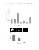 COMPOUNDS AND COMPOSITIONS FOR USE IN THE TREATMENT AND PREVENTION OF LUNG     AND BRAIN CANCER AND PRECANCEROUS CONDITIONS THEREOF diagram and image