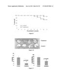 COMPOUNDS AND COMPOSITIONS FOR USE IN THE TREATMENT AND PREVENTION OF LUNG     AND BRAIN CANCER AND PRECANCEROUS CONDITIONS THEREOF diagram and image