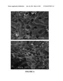 SOLID DOSAGE FORM diagram and image