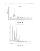 SOLID DOSAGE FORM diagram and image