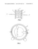 METHOD AND AN APPARATUS FOR THAWING FROZEN MEAT diagram and image