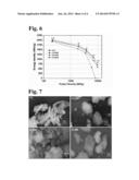 LITHIUM/GRAPHITE FLUORIDE PRIMARY BATTERY AND METHOD FOR ITS MANUFACTURING diagram and image