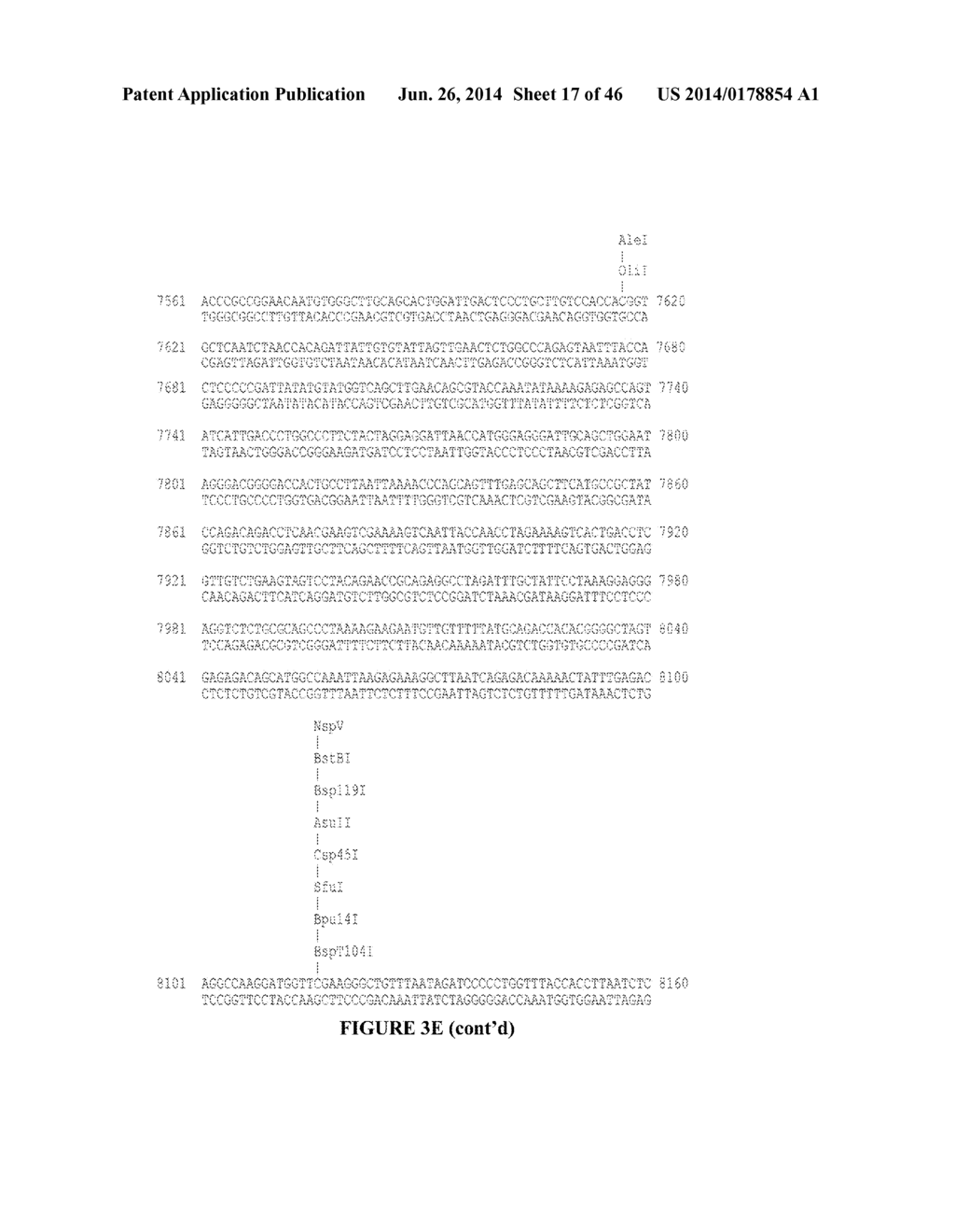 ANTISERA ASSAYS FOR MLV RELATED VIRUSES IN HUMANS AND OTHER MAMMALS - diagram, schematic, and image 18