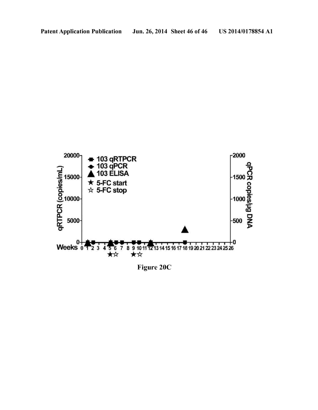 ANTISERA ASSAYS FOR MLV RELATED VIRUSES IN HUMANS AND OTHER MAMMALS - diagram, schematic, and image 47