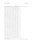 ANTISERA ASSAYS FOR MLV RELATED VIRUSES IN HUMANS AND OTHER MAMMALS diagram and image