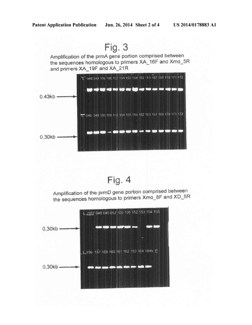 METHOD FOR THE IDENTIFICATION OF PROPANE-OXIDIZING BACTERIA - diagram, schematic, and image 03