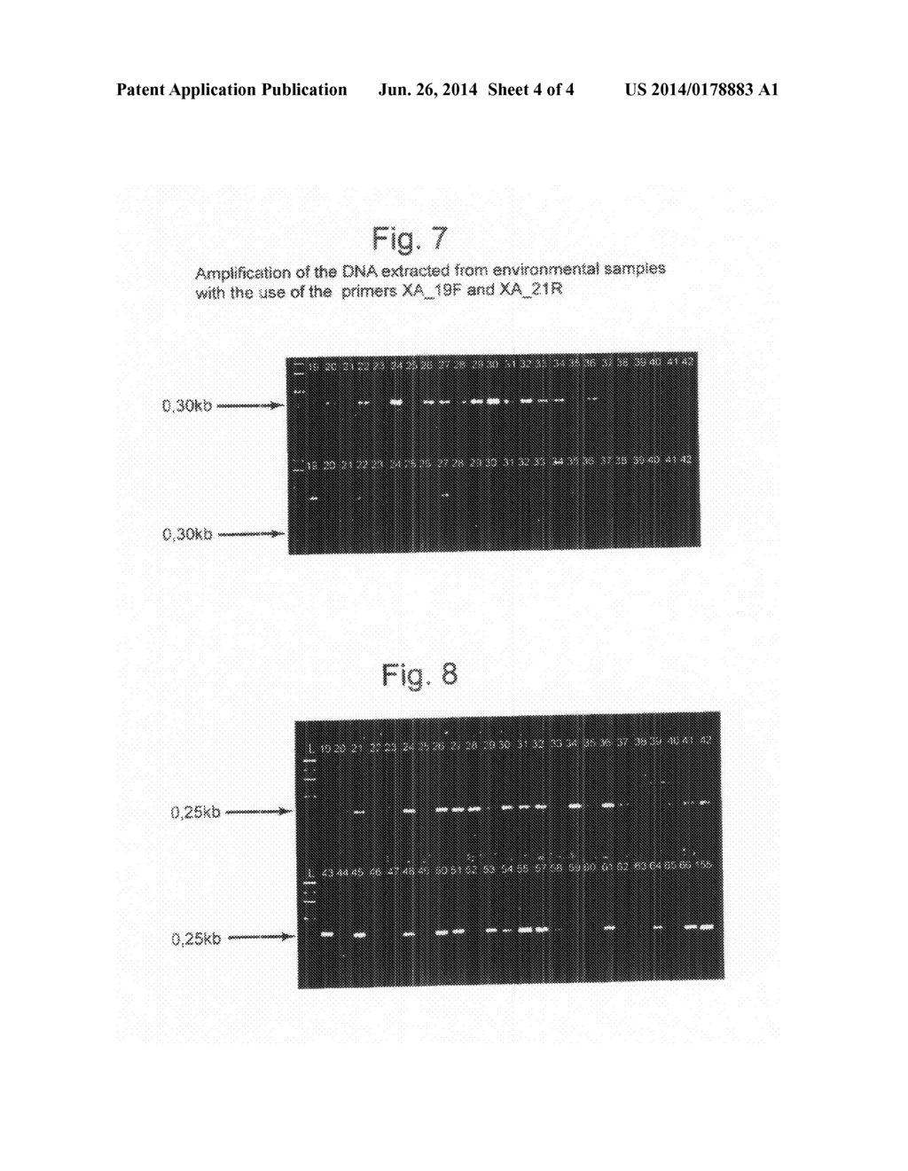 METHOD FOR THE IDENTIFICATION OF PROPANE-OXIDIZING BACTERIA - diagram, schematic, and image 05