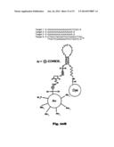 METHODS USING A NONLINEAR OPTICAL TECHNIQUE FOR DETECTION OF INTERACTIONS     INVOLVING A CONFORMATIONAL CHANGE diagram and image