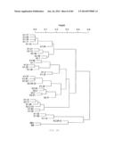 ANTIBODY CATEGORIZATION BASED ON BINDING CHARACTERISTICS diagram and image