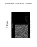 Nanostructured Biomimetic Device with Contour Map of Multiple Variable     Correlation Method to Visually Display the Cancer Progresses diagram and image