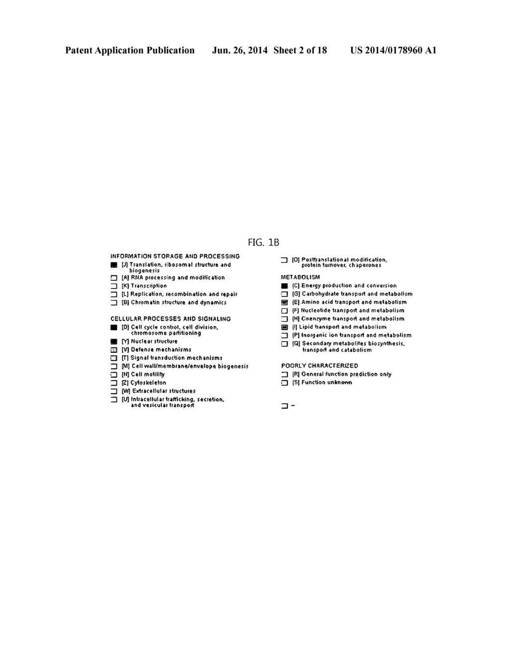 Method of producing hydrogen from Thermococcus spp - diagram, schematic, and image 03