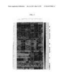 Method of producing hydrogen from Thermococcus spp diagram and image