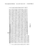 SOLUBLE INHIBITORS OF VASCULAR ENDOTHELIAL GROWTH FACTOR AND USE THEREOF diagram and image