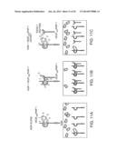 SOLUBLE INHIBITORS OF VASCULAR ENDOTHELIAL GROWTH FACTOR AND USE THEREOF diagram and image